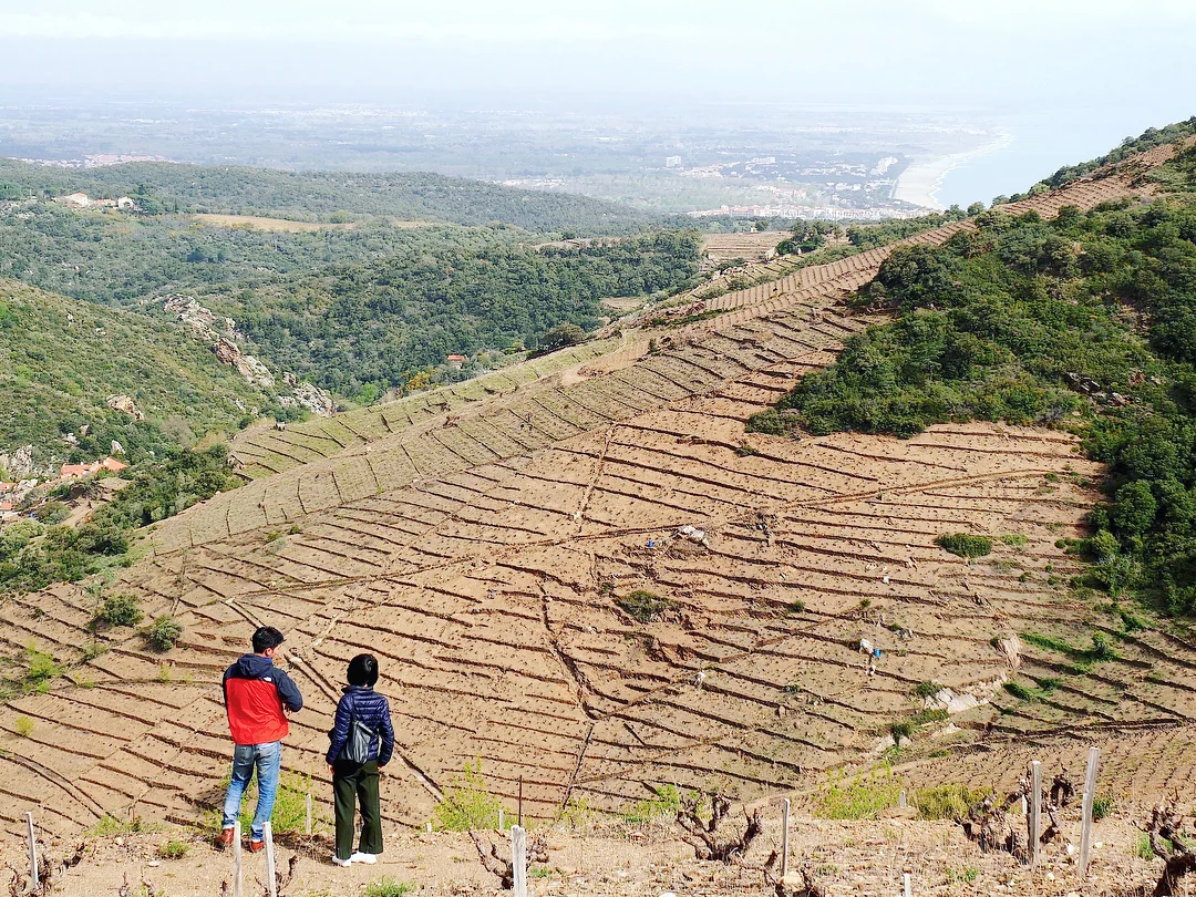 Pedres Blanques — Grand Cru Selections